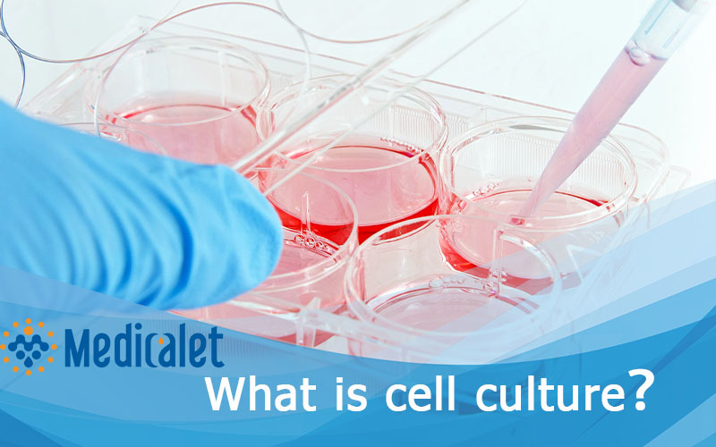 What is Cell Culture?