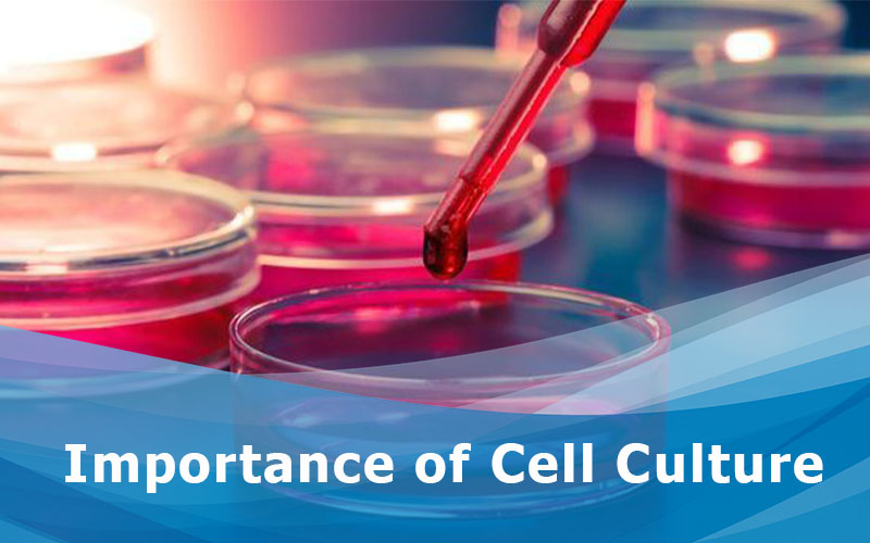 Importance of Cell Culture