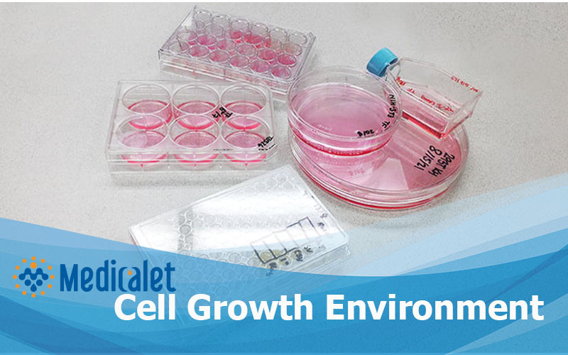 Cell Culture Environment